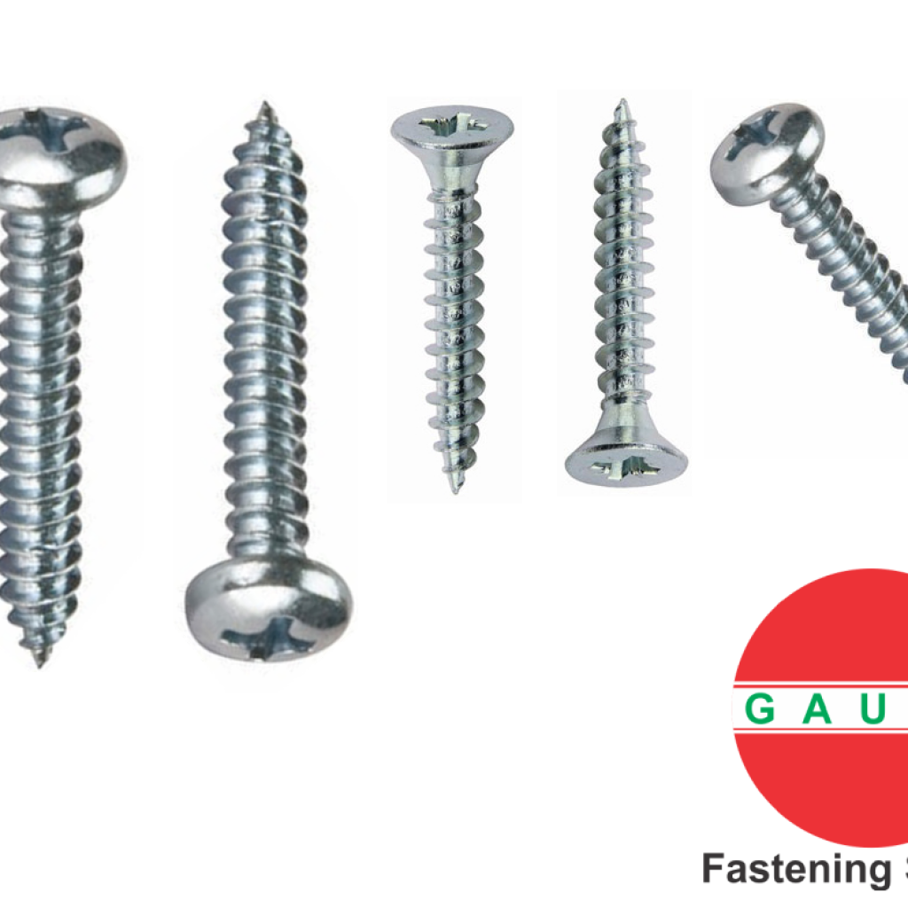 Stainless Steel Self Tapping Screws